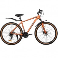 ��������� 29' ��������, ���� ����. ACID F 920 D Bronze/Brown 21'