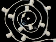 �������� ����-���� RL LED ������-������ 250��.���-20��,2-� ��.���.,220�, IP54 �� 1� RL-BL2-50M-250-B