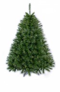 ��� PENERI ������� 122 �� E 3512