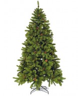 ��� TRIUMPH TREE ������ ����������� � ������� 185 �� 73238/088015