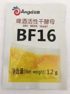 ������ ������ Angel BF16 12 �