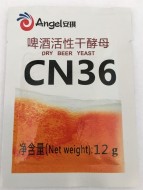 ������ ������ Angel CN36 12 �