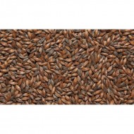 ����� ��������, ���������� ���������� 0,5 �� (�������) (�� ������)