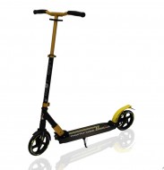 ������� EXPLORE 200 �� PU, ������., ABEC-9, ��. 35*10 �� MONTROSE