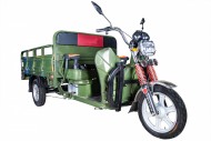 Электротележка грузовая (трицикл) RUTRIKE Алтай 2000 60V1500W Зеленый-1958
